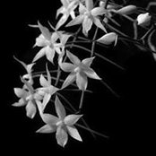 Christine Galbaugh's photo