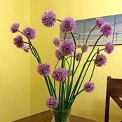 Jules Schmuker's photo