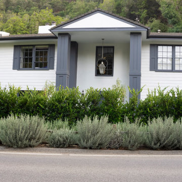 Mandeville Canyon Modern Oasis