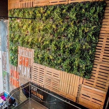 VistaFolia Beautiful Large Green Wall in Retail Store