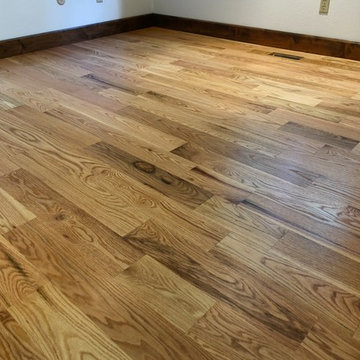 Victorian Red Oak with Walnut Border