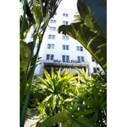 The Raleigh Hotel, Miami - Windows