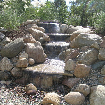 Christiansen Backyard