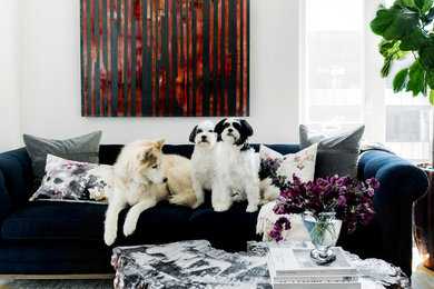 Inspiration for a small transitional enclosed dark wood floor and gray floor living room remodel in Portland with white walls, no fireplace and no tv