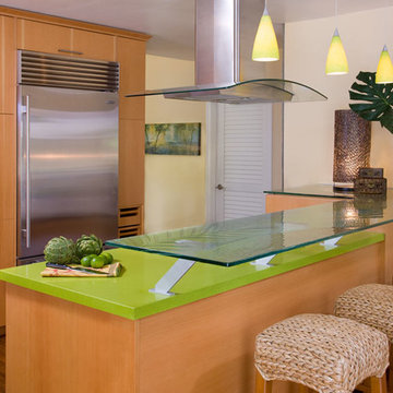 Tropical Zen Remodel
