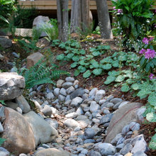 Dry Creek Bed