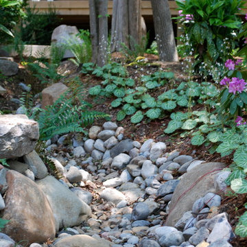 Asian Inspired Woodland Garden