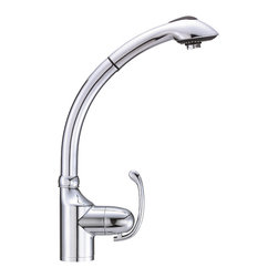 Danze Anu&trade; Single Handle Pull-Out Kitchen Faucet - Kitchen Faucets