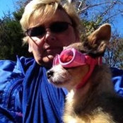 Ronda Reitz's photo