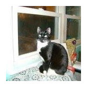 Catherine Marra's photo