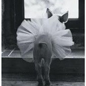 Michelle Gardner's photo