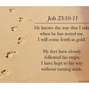 Amber Reinders's photo