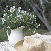 Jacqueline Smith's photo