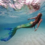Darla Johnsons foto