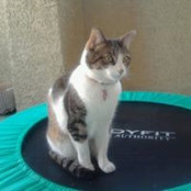 Janet McKeon's photo