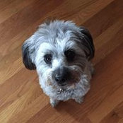 Bonnie Woolfrey's photo