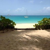Chris Wilson's photo