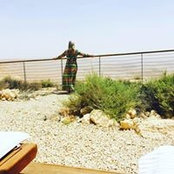 Foto von Orit Douek Shoshani