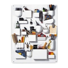 Organization