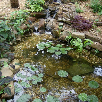 Doss Pond