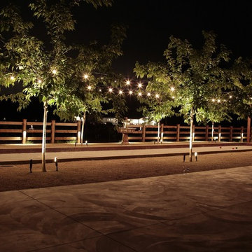 Landscape lighting