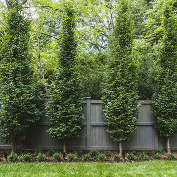 Chatham Street | Brookline