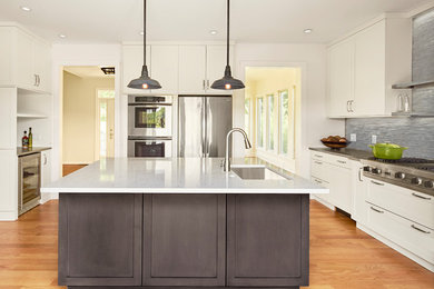 Kitchen - contemporary kitchen idea in New York