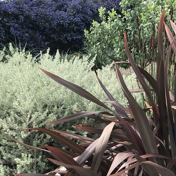 Hayward mid century