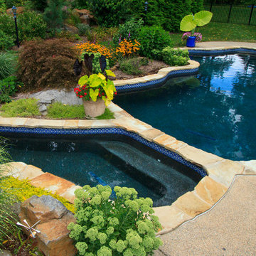 2014 Fall and Winter World's Greatest Pools submissions