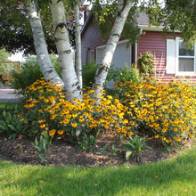 Front Yard Landscaping