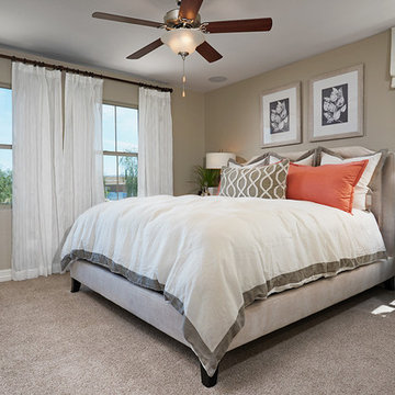 Coral model home in Arizona