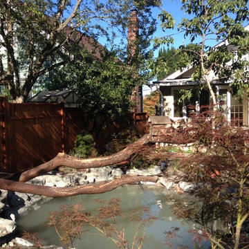 Zen Water project - ongoing
