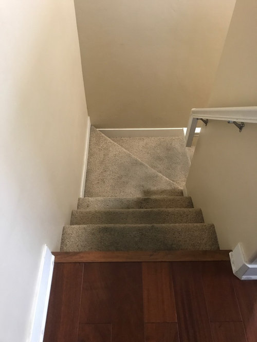 help! what color carpet should I get ?! ASAP