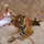 webuser_6068496