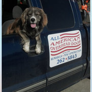 All American Overhead Doors Gilroy Ca Us 95020