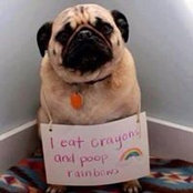 Kymberli Bryant's photo