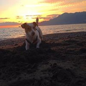 Foto von Chicco de Felice