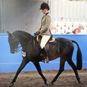 Foto de Steph Orpik
