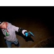 Sylvia Graefke's photo