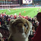 Miles Rothwell's photo