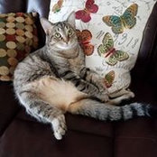 Marie Sharpe's photo