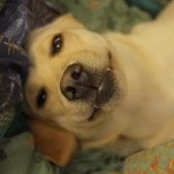 Jenn Hocker's photo