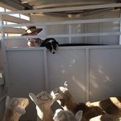 Ann Frouws's photo