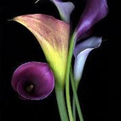 Barbara Claiborne's photo