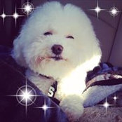 Christina Wroby's photo