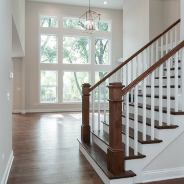Modern Farmhouse Modified Amelia | Naperville, IL