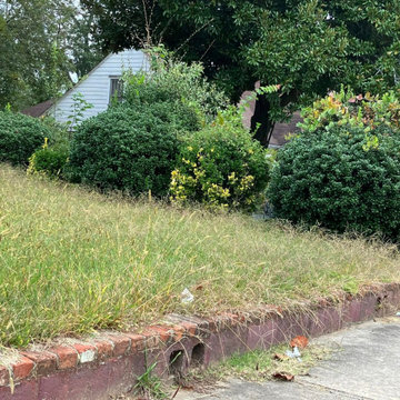 Landscape and Outdoor Property Improvement