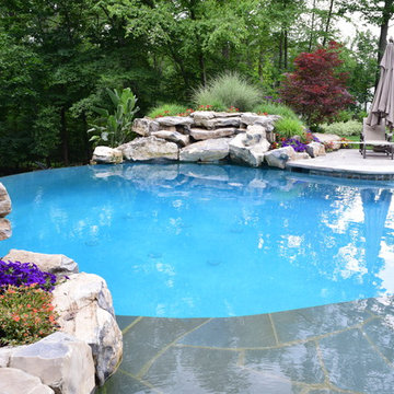 Building a Dream Backyard