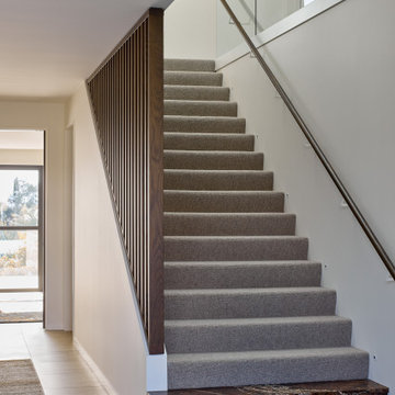 A Room with a View | Contemporary Home in Mission Bay | Rogan Nash Architects