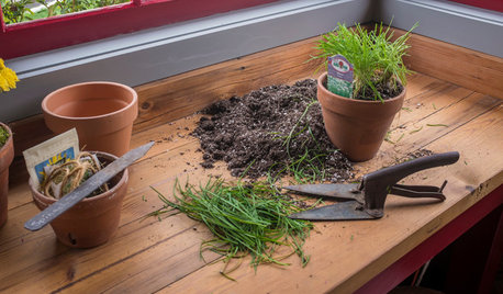 Conseils de pro pour réussir ses semis de printemps